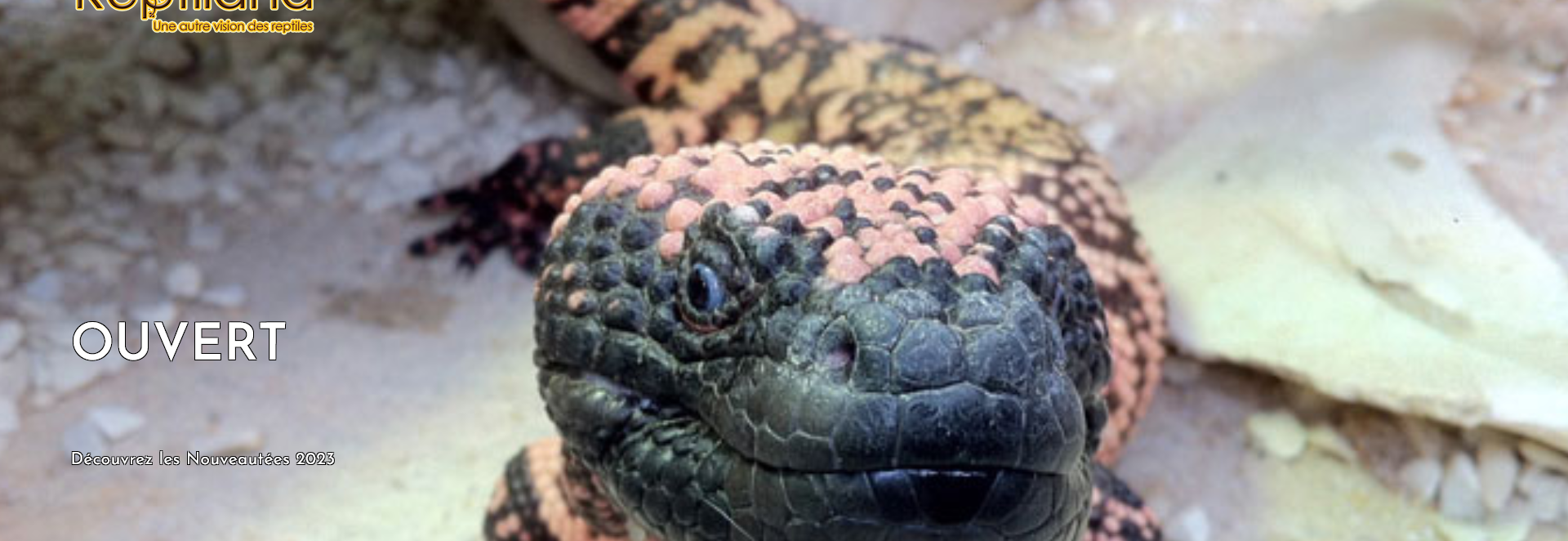 Reptiland CMP Ressourcerie