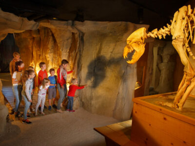 Musée de l'Ours des Cavernes