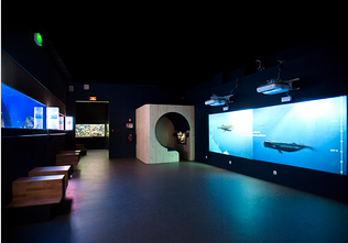 Muséum-Aquarium de Nancy