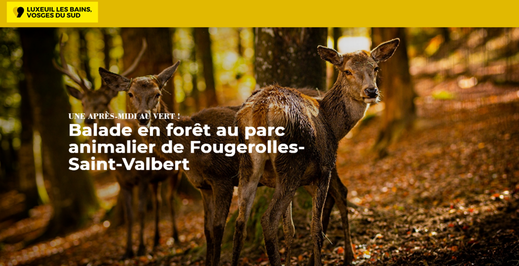 Parc Animalier De Fougerolles Saint Valbert CMP Ressourcerie Parc Animalier De Fougerolles Saint Valbert CMP Ressourcerie