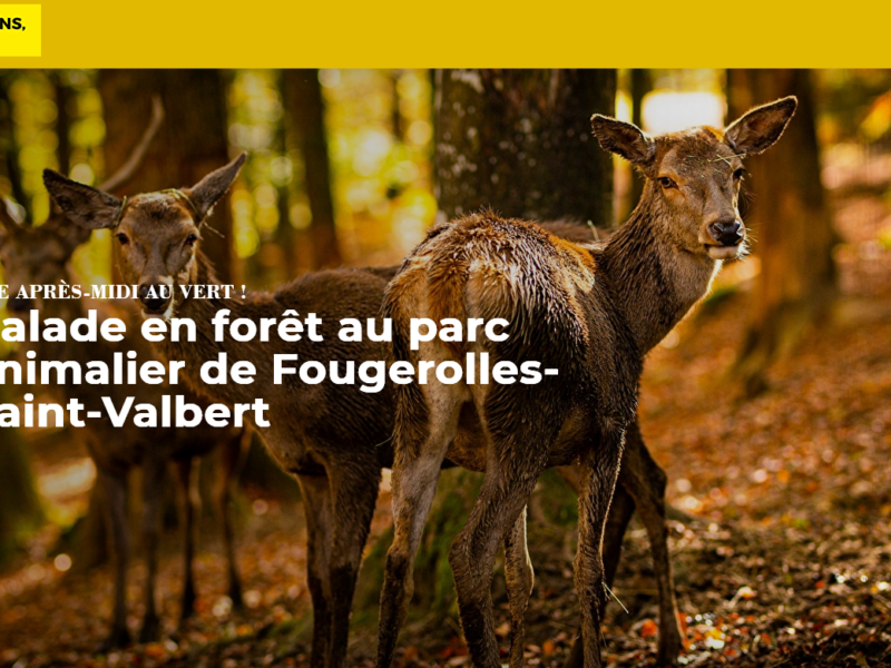 Parc animalier de Fougerolles-Saint-Valbert
