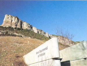 Musée de la préhistoire de Solutré
