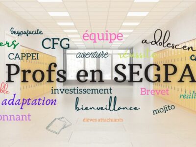 Profs en SEGPA - Groupe Facebook